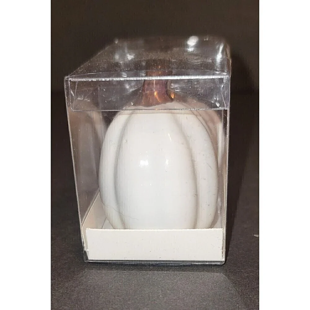 NIB Thirsty Stone White Ceramic Pumpkin Salt & Pepper Shaker
